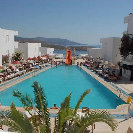 Peda Gumbet Holiday Beach 3* בודרום