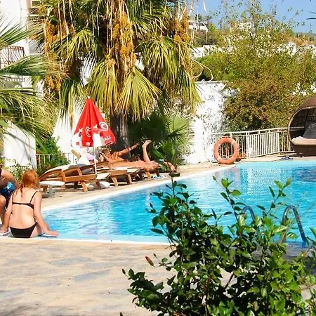Peda Gumbet Holiday Beach 3* בודרום