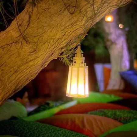 리조트 Peda Gumbet Holiday Beach Bodrum